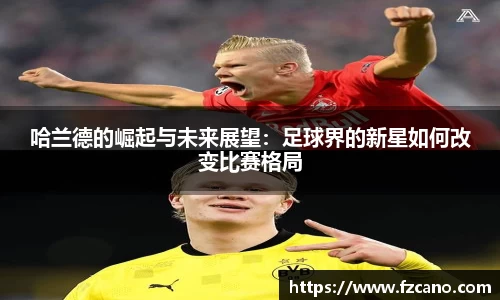 bb贝博bellbet官方网站
